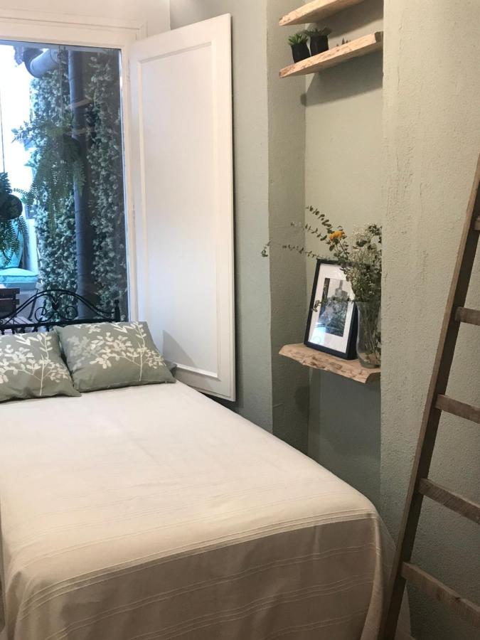 Apartamento Con Encanto Y Terraza En Barri Vell De Girona, El Cul De La Lleona Экстерьер фото