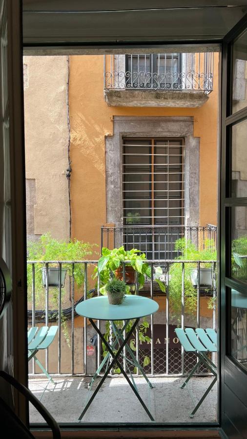 Apartamento Con Encanto Y Terraza En Barri Vell De Girona, El Cul De La Lleona Экстерьер фото